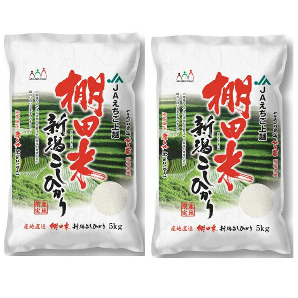 新潟産コシヒカリ（棚田米） 5Kg×2  / お米 お取り寄せ 通販 お土産 お祝い プレゼント ギフト 父の日 おすすめ /