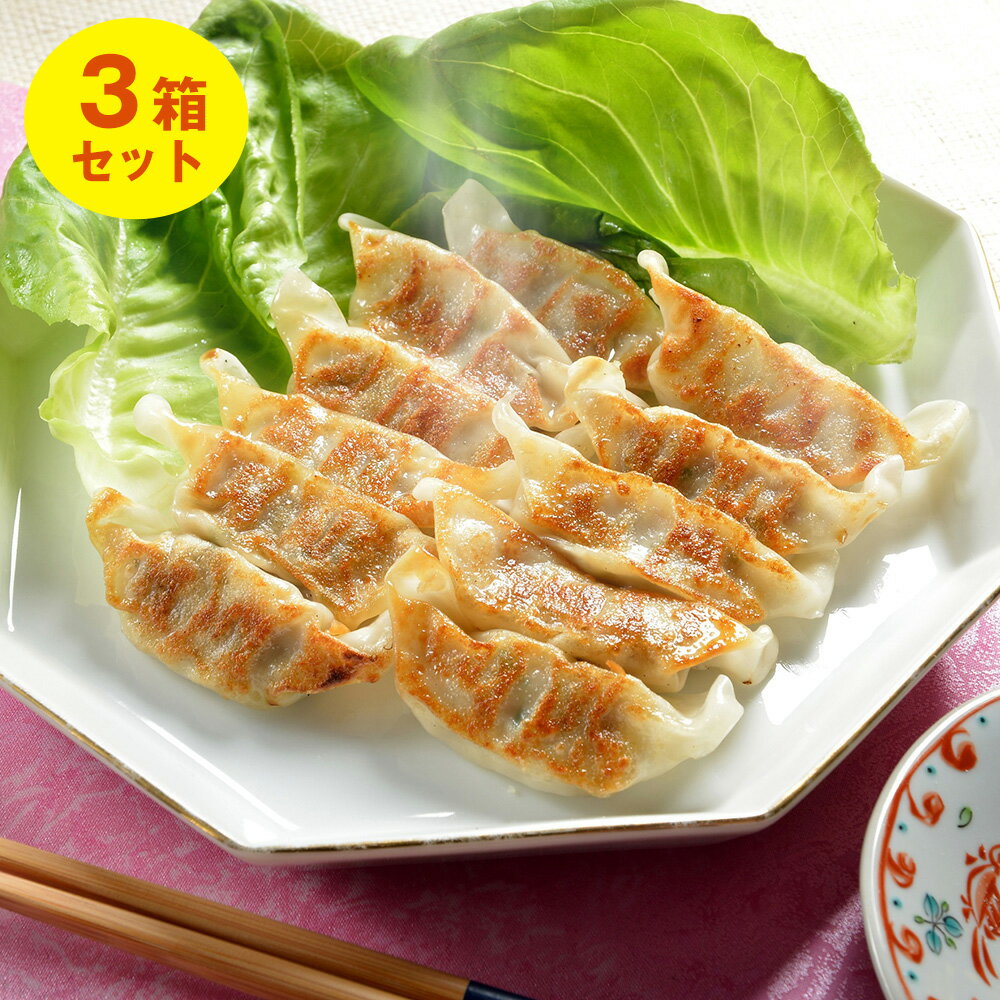 滋賀 近江牛餃子 3箱セット【送料無料】 / 牛肉 ブランド肉 ぎょうざ 中華料理 お取り寄せ 通販 お土産 お祝い プレゼント ギフト おすすめ /