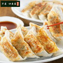 【店内P5倍】兵庫 「芦屋 伊東屋」オリジナル黒豚餃子セット 計60個【送料無料】 / お取り寄せ 通販 お土産 お祝い プレゼント ギフト おすすめ /