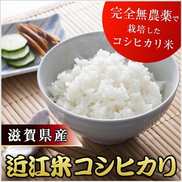 滋賀県 令和5年度産 新米 「近江米コシヒカリ 10kg」〈期間限定：9月～〉【送料無料】無農薬栽培 ...