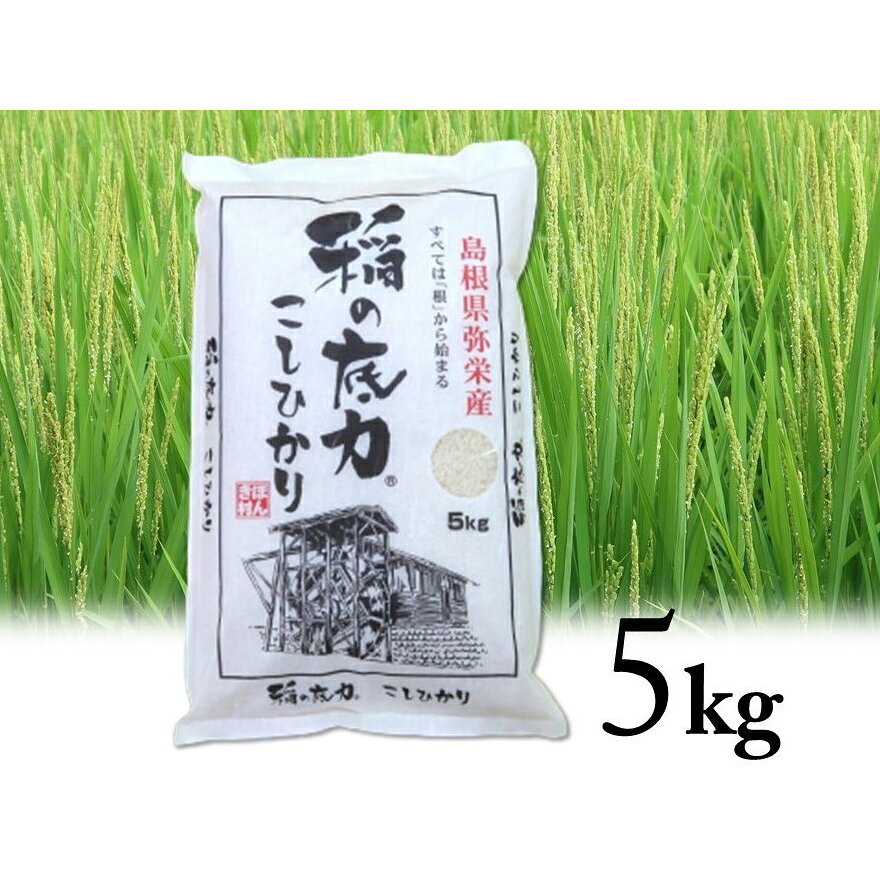 令和5年産 島根県特産品コシヒカリ稲の底力こしひかり5kg 【送料無料】 常温 / 通販 ギフト おすすめ 保存食 /