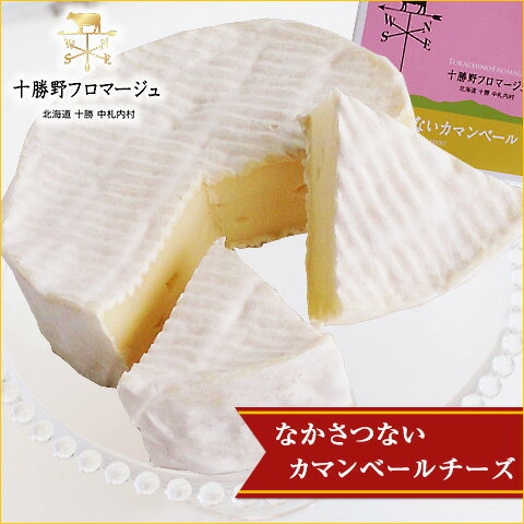 【送料無料】北海道チーズ なかさつないカマンベールチーズ(120g)×4 / お取り寄せ 通販 お土産 お祝い /