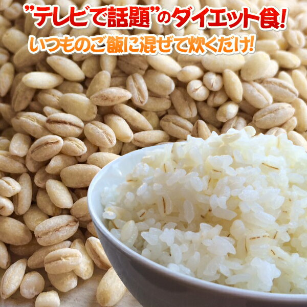 ★テレビで話題の健康食★スーパーフード もち麦 900g(クリックポスト便のみ対応) / βグルカン2倍 美容 ダイエット 麦 雑穀 食物繊維 大麦 テレビ お取り寄せ 通販 お土産 お祝い プレゼント ギフト 母の日 おすすめ 保存食 非常食 備蓄 /