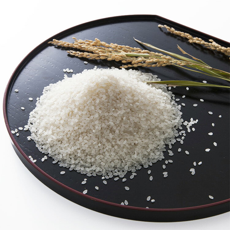 【在庫あり】滋賀県 令和6年度産 新米 「近江米コシヒカリ 5kg」【送料無料】 / お取り寄せ 通販 プレゼント ギフト おすすめ /のサムネイル