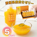 ワッフルアトリエ ムエル 愛媛県産 飲むゼリー 5本セット【送料無料】 常温 / スイーツ 洋菓子 お菓子 お取り寄せ 通販 お土産 お祝い プレゼント ギフト お中元 おすすめ /