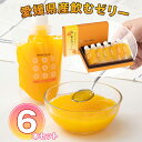 ワッフルアトリエ ムエル 愛媛県産 飲むゼリー 6本セット【送料無料】 常温 / スイーツ 洋菓子 お菓子 お取り寄せ 通販 お土産 お祝い プレゼント ギフト お中元 おすすめ /