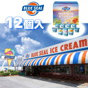 【パンダ対象】アイスクリーム アイス 沖縄 ブルーシールアイス 12個 セット【送料無料】 / ブルーシールアイスクリーム 詰め合わせ あいす スイーツ デザー...