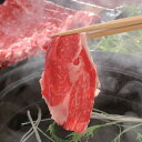 【パンダ対象】宮崎牛 しゃぶしゃぶ モモ500g 【送料無料】 / 牛肉 お取り寄せ 通販 お土産 お祝い プレゼント ギフト おすすめ