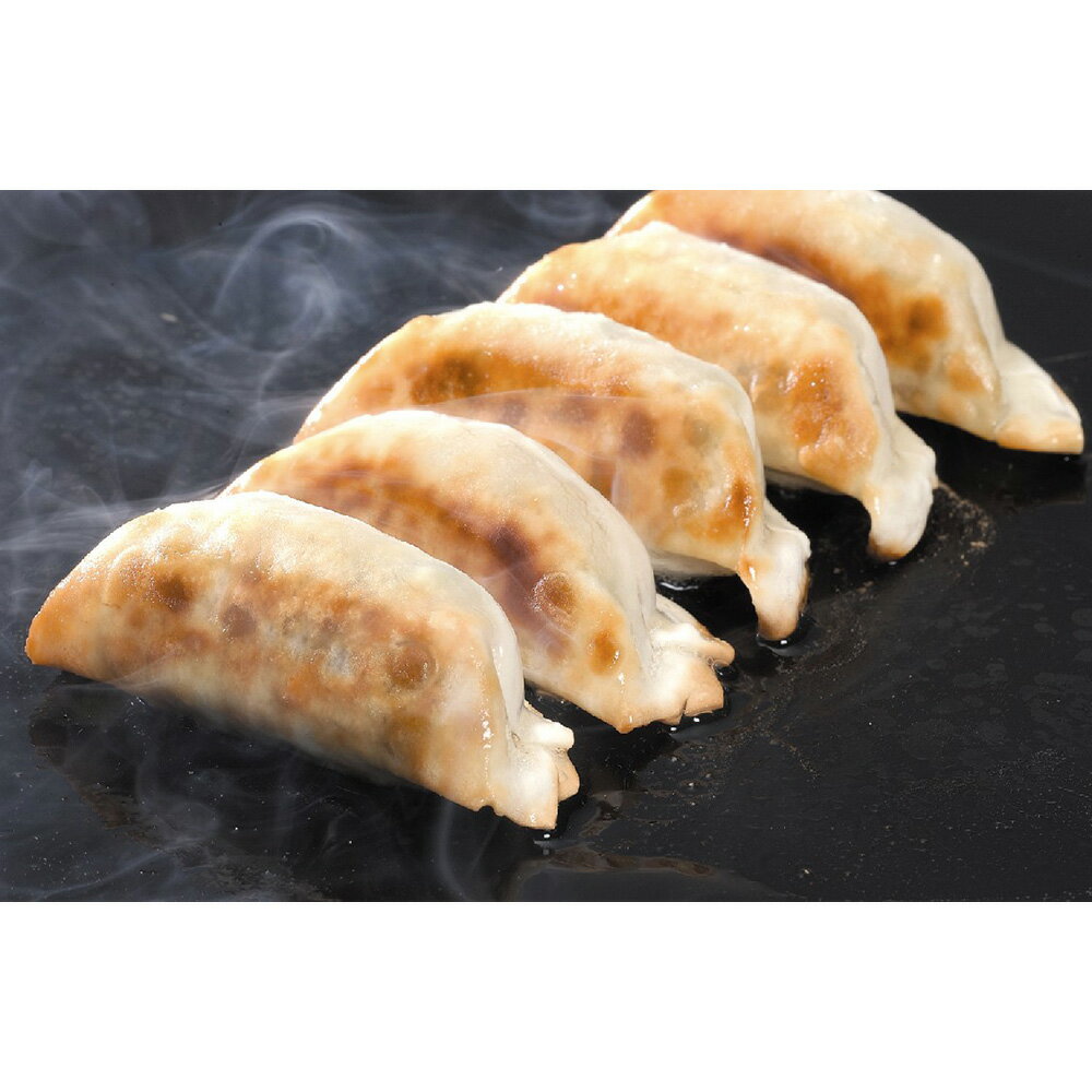 【全品P5倍】特製生餃子セット 特製生餃子（13g×50個）×1袋 【送料無料】 / 点心 中華 お取り寄せ 通販 お土産 お祝い プレゼント ギフト おすすめ