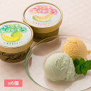 【パンダ対象】アイス アイスクリーム いつもありがとうラベル 北海道メロンアイスクリームセット 計6個【送料無料】/ お取り寄せ 通販 プレゼント ギフト おす...