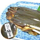 【パンダ対象】にしん昆布醤油炊き 1尾入り×5【送料無料】【お届け不可地域:沖縄・離島】 常温 / お取り寄せ 通販 プレゼント ギフト おすすめ /