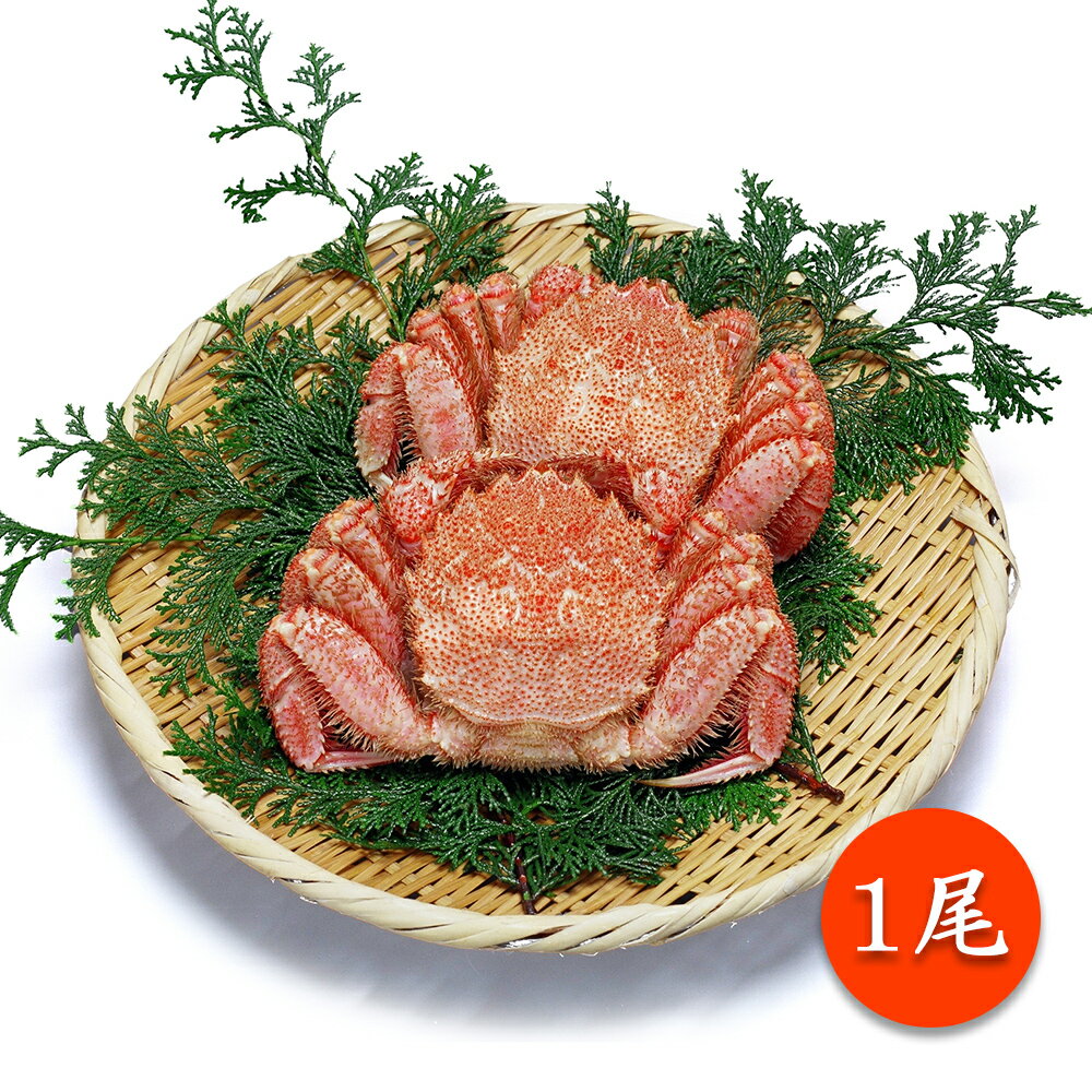 北海道産 冷凍ボイル毛蟹 1尾 400～450g【送料無料】【お届け不可地域：沖縄・離島】/ お取り ...