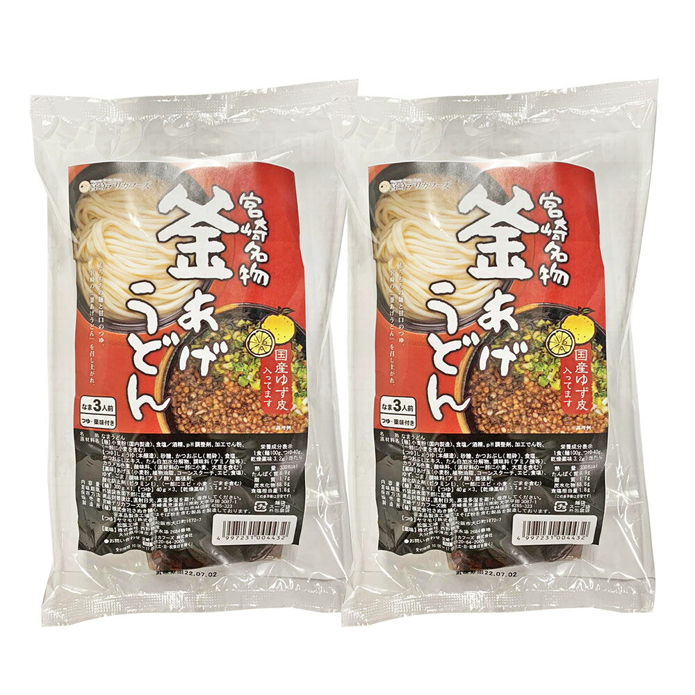 【パンダ対象】宮崎釜あげうどん 6食((麺300g×1、つゆ40g×3、乾燥薬味3袋)×2袋)【送料無料】【ゆうパケットでお届け】 常温 / お取り寄せ 通販 プレゼント ギフト おすすめ /