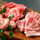 【パンダ対象】滋賀 牛肉商 徳志満 焼肉セット【送料無料】/ お取り寄せ 通販 プレゼント ギフト おすすめ /