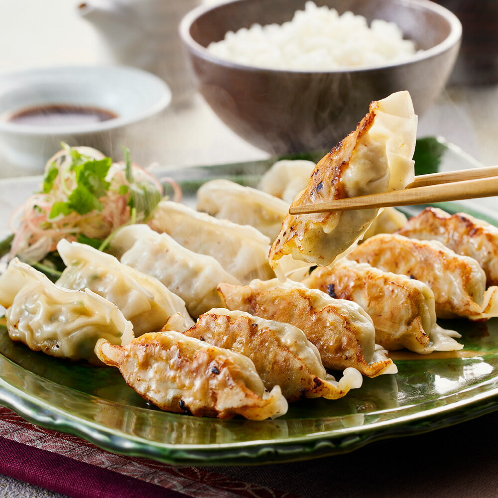 梅の花 餃子セット(計60個)【送料無料】/ お取り寄せ 通販 プレゼント ギフト お歳暮 おすすめ /