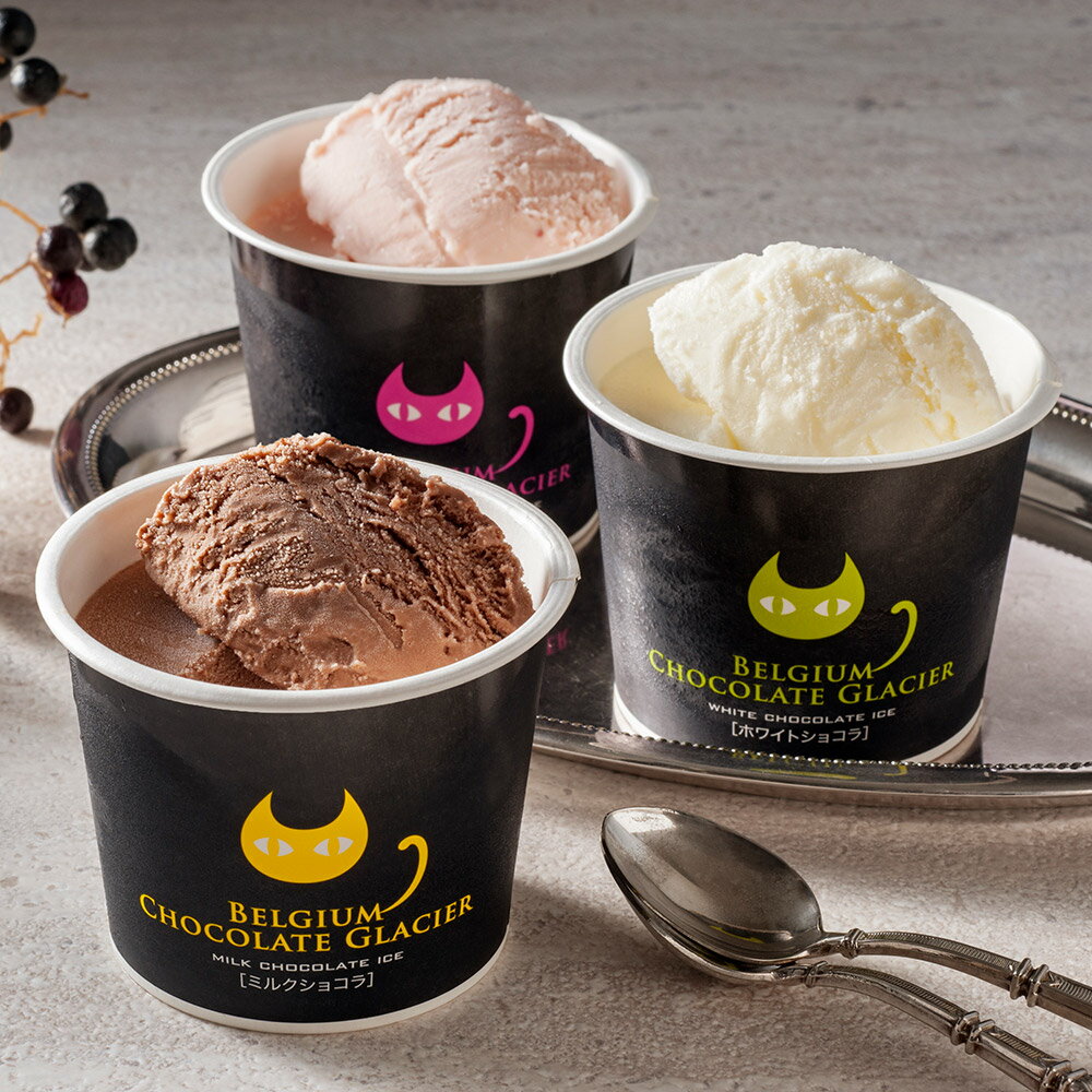 アイス ギフト 濃厚本場チョコレートアイス イーペルの猫祭り ベルギーチョコレートグラシエ（アイス職人）10個入 AH-BCGR【送料無料】【離島不可】ベルギーチョコ / チョコレート 詰め合わせ あいす 猫 cat お取り寄せ 通販 お土産 お祝い プレゼント ギフト バレンタイン /のサムネイル