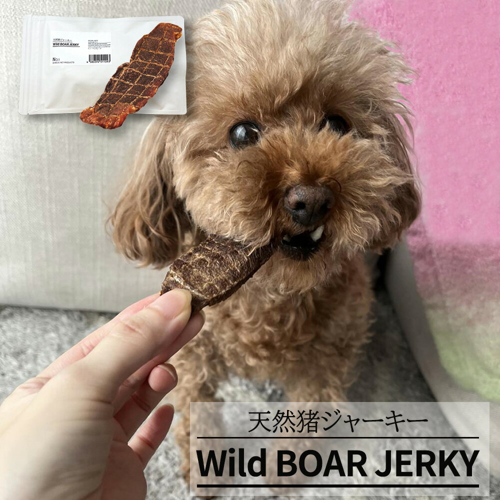 楽天わが街とくさん店No.1 Wild Boar Jerky 天然猪のジャーキー 40g ペットフード ペットのおやつ ドッグフード キャットフード イノシシ肉【送料無料】【お届け不可地域：北海道・沖縄・離島】