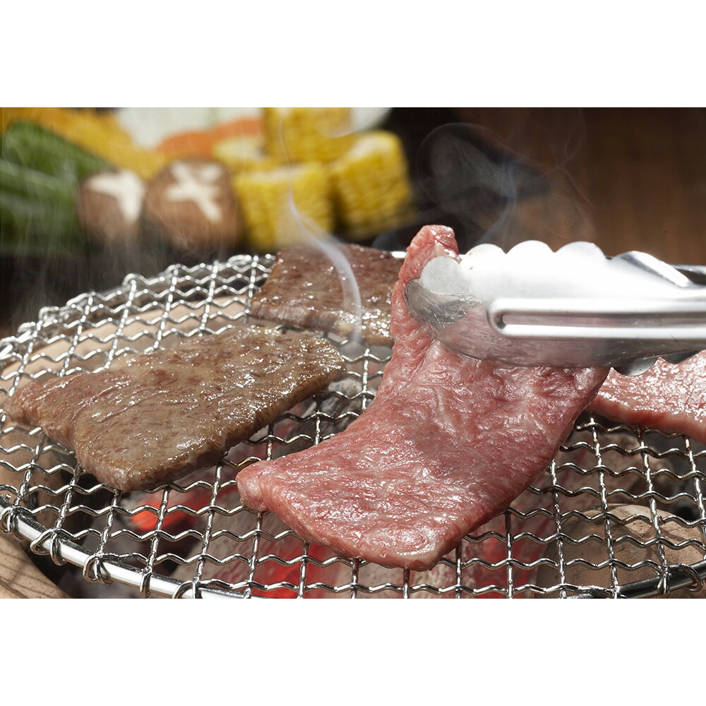 熊本県産味彩牛と肥後あそび豚焼肉 セット 計500g 豚肉【送料無料】