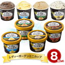 レディーボーデンミニカップ8個セット R893T スイーツ アイスクリーム【送料無料】【お届け不可地域:離島】 / お取り寄せ 通販 プレゼント ギフト お中元 おすすめ /