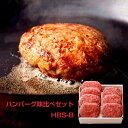 ハンバーグ味比べセット HBS-B 洋風惣菜 ハンバーグ【送料無料】 / お取り寄せ 通販 プレゼント ギフト お中元 おすすめ /