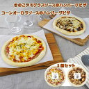 【店内P5倍】ハンバーグ王子 ハンバーグピザ2種セット 惣菜【送料無料】 / お取り寄せ 通販 プレゼント ギフト おすすめ /