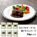【店内P5倍】ホテルオークラ 神戸牛ハンバーグ6個セット 惣菜【送料無料】 / お取り寄せ 通販 プレゼント ギフト おすすめ /