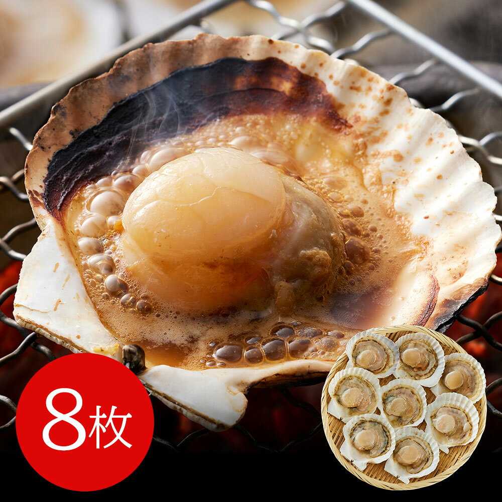 北海道産 帆立片貝 8枚(50g×8) 貝類 ホタテ【送料無料】 / お取り寄せ 通販 プレゼント ギフト おすすめ /