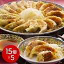 【パンダ対象】静岡 浜松餃子 中華惣菜 点心 ぎょうざ【送料無料】 / お取り寄せ 通販 プレゼント ギフト おすすめ /