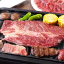 山晃食品 黒黒BBQセット 牛肉 豚肉 詰合せ【送料無料】 / お取り寄せ 通販 プレゼント ギフト お中元 おすすめ /