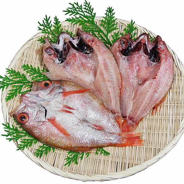 島根県特産品 海産物 のどぐろ一夜干し 3～5尾 約800g 一夜ぼし 干物 のどぐろ【送料無料】【お届け不可地域：ヤマト運輸の配達不可地域】