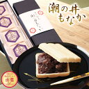 【パンダグッズ対象商品】出雲市銘菓 和菓子 潮の井もなか 8ヶ入×3セット【送料無料】/ お取り寄せ ...