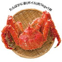 【店内P5倍】北海道網走水産 ボイルたらばがに姿 約1kg×1杯 AP-008 4009-030 魚介 カニ【送料無料】 / お取り寄せ 通販 プレゼント ギフ...