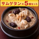 【パンダグッズ対象商品】サムゲタン 参鶏湯 キット 3～4人前 × 5個 セット 博淑屋 食べる本格薬膳スープ あす楽 【送料無料】 / 材料 薬膳 韓国 スープ 鍋 鶏 さむげたん 滋養強壮 ヘルシー 健康 お取り寄せ 通販 お土産 お祝い プレゼント ギフト おすすめ /