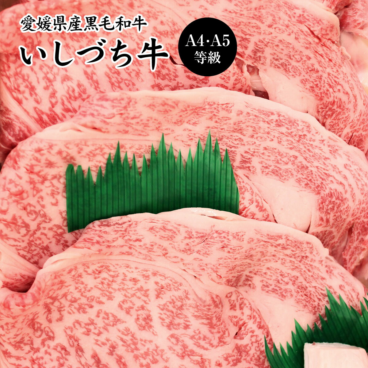 愛媛県産いしづち牛 厳選 雌 黒毛和牛 リブロース すき焼きセット 約650g A4-A5等級 【送料無料】 / 黒毛和牛 ブランド牛 和牛 国産 お取り寄せ 通販 お土産 お祝い プレゼント ギフト 父の日 …