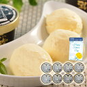 【パンダ対象】父の日 2025 早割 ポイント10倍 プレゼント ギフト 「乳蔵」プレミアムバニラアイス 110136 4996-384 スイーツ アイスクリー...
