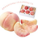お中元 2025 早割 P5倍 長野県産 桃 4〜5玉 4727-044 フルーツ 果物【送料無料】 / お取り寄せ 通販 プレゼント ギフト お中元 おすすめ...