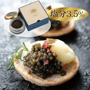 お中元 2025 早割 P5倍 蝶鮫屋 新見フレッシュキャビア1瓶 塩分3.5% 4739-037 キャビア【送料無料】 / お取り寄せ 通販 プレゼント ギフト お中元 おすすめ /