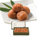 お中元 2025 早割 P5倍 中田食品 梅道 紀州南高梅うす塩味 255 4749-014 梅干し【送料無料】 / お取り寄せ 通販 プレゼント ギフト おす...