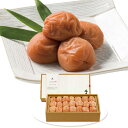 【お中元2025】中田食品 梅道 紀州南高梅はちみつ味 256 4749-026 梅干し【送料無料】 / お取り寄せ 通販 プレゼント ギフト おすすめ /