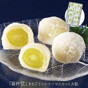 お中元 2025 早割 P5倍 新杵堂 まるごとシャインマスカット大福 B22-5 和菓子 スイーツ【送料無料】_511 / お取り寄せ 通販 プレゼント ギフ...
