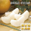 お中元 2025 早割 P5倍 佐賀県産 伊万里梨 A15-8 フルーツ 果物 和梨【送料無料】_648 / お取り寄せ 通販 プレゼント ギフト お中元 おすすめ /