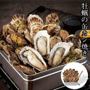お中元 2025 早割 P5倍 三陸産 牡蠣の缶カン焼き W1-3 貝 カキ【送料無料】_843 / お取り寄せ 通販 プレゼント ギフト おすすめ /