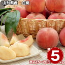 山形県産 白桃 5kg フルーツ 果物【送料無料】 / お取り寄せ 通販 プレゼント ギフト お中元 おすすめ /