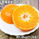 愛媛県産 甘平 1.8kg フルーツ 果物【送料無料】 / お取り寄せ 通販 プレゼント ギフト お中元 おすすめ /