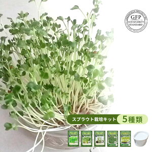 グリーンフィールドプロジェクト 有機種子 発芽野菜栽培キット 専用栽培容器セット 3〜4回分 5種類 おうちでベジ ディル チアシード ブロッコリー ラディッシュ かいわれ大根 パクチー 家庭菜園 簡単 室内栽培 栽培キット 収穫簡単 エコ 自家栽培 オーガニック野菜 水耕栽培