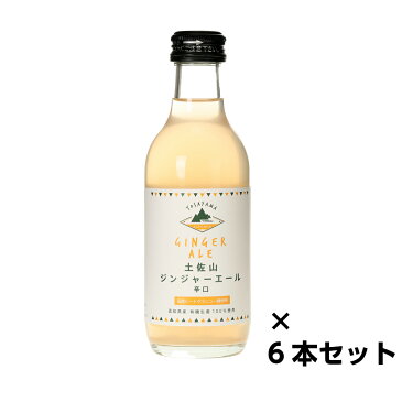 夢産地とさやま開発公社 土佐山ジンジャーエール 辛口M 高知県産 有機生姜100% 200ml 6本セット