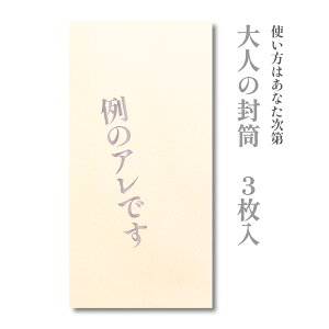 大人の封筒　例のアレです　3枚入【ぽち袋 ポチ袋 大 折らずに】【お年玉 お年玉袋 正月】