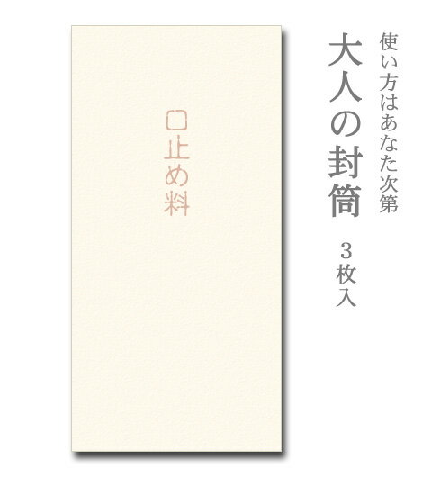 面白 ポチ袋 大人の封筒　口止め料　3枚入【ぽち袋 ポチ袋 大 折らずに】【お年玉 お年玉袋 正月】