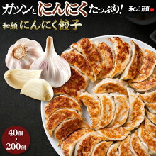 gyoza_top