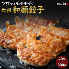 gyoza_top